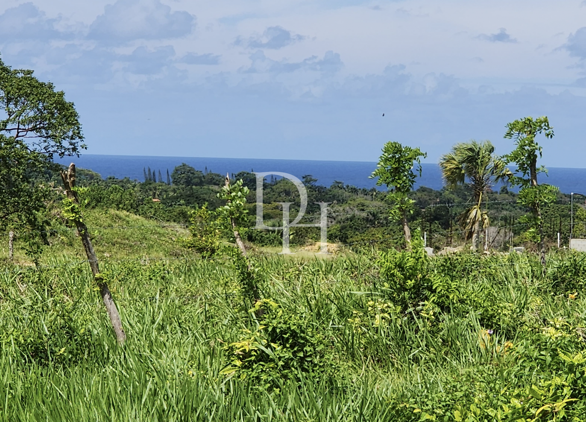 Участок в Кабарете, Доминиканская республика, 5 683м2 - стоимость 483&nbsp;000$ - Ref: 80214 фото 4