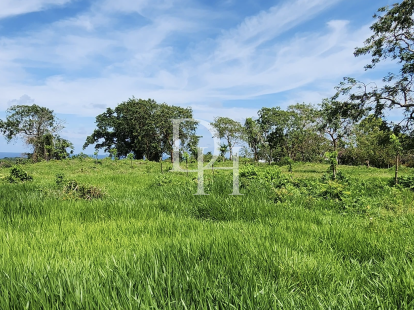 Участок в Кабарете, Доминиканская республика, 5 683м2 - стоимость 483&nbsp;000$ - Ref: 80214 фото 3