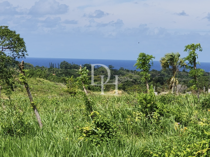 Участок в Кабарете, Доминиканская республика, 5 683м2 - стоимость 483&nbsp;000$ - Ref: 80214 фото 4