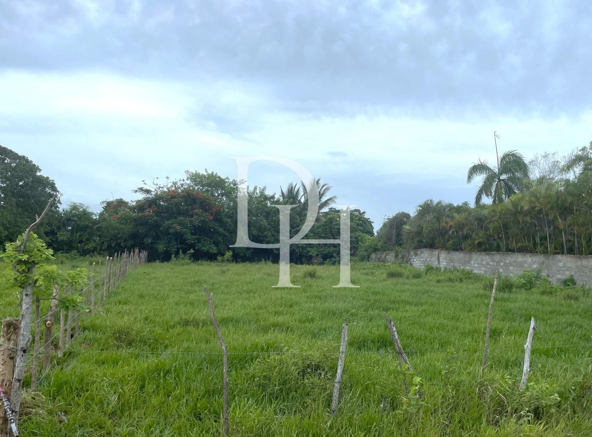 Участок в Кабарете, Доминиканская республика, 1 382м2 - стоимость 117&nbsp;455$ - Ref: 80220 фото 1