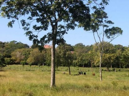 Участок в Сосуа, Доминиканская республика, 8 900м2 - стоимость 169&nbsp;000$ - Ref: 80266 фото 2