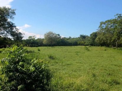 Участок в Сосуа, Доминиканская республика, 8 900м2 - стоимость 169&nbsp;000$ - Ref: 80266 фото 3