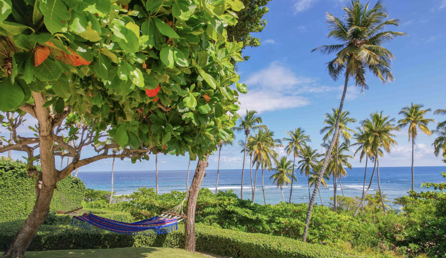 Вилла в Кабрера, Доминиканская республика, 1 900м2 - стоимость 5&nbsp;400&nbsp;000$ - Ref: 80290 фото 7