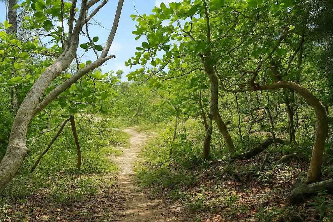 Участок в Кабарете, Доминиканская республика, 2 000м2 - стоимость 200&nbsp;000$ - Ref: 80303 фото 1