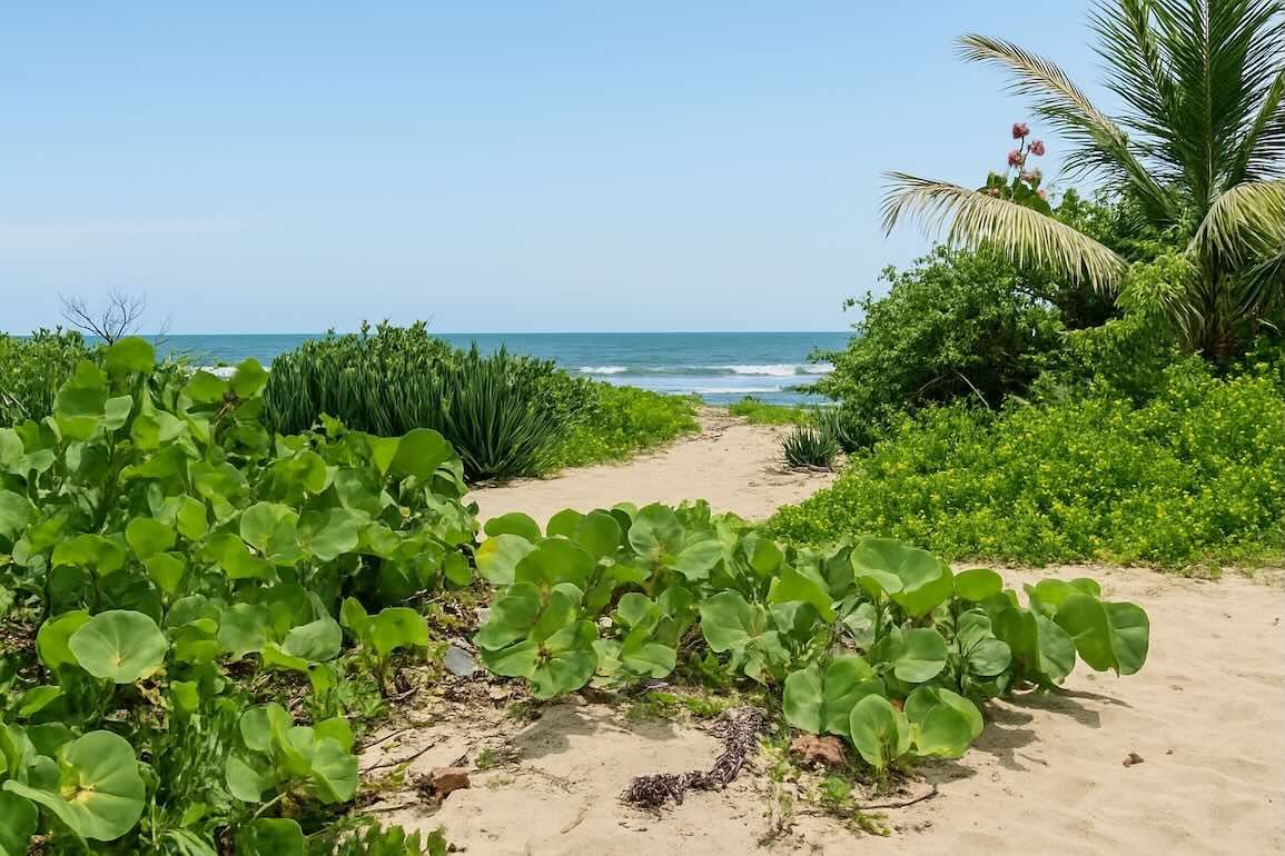 Участок в Кабарете, Доминиканская республика, 2 000м2 - стоимость 200&nbsp;000$ - Ref: 80303 фото 2