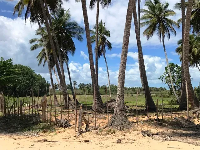 Участок в Кабрера, Доминиканская республика, 9 700м2 - стоимость 439&nbsp;000$ - Ref: 80302 фото 2