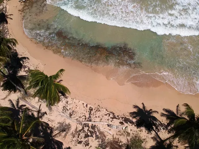 Участок в Кабрера, Доминиканская республика, 9 700м2 - стоимость 439&nbsp;000$ - Ref: 80302 фото 6