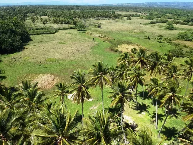 Участок в Кабрера, Доминиканская республика, 9 700м2 - стоимость 439&nbsp;000$ - Ref: 80302 фото 7