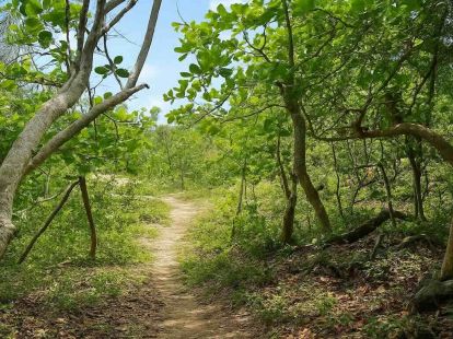 Участок в Кабарете, Доминиканская республика за 200 000$ (ID:80303)