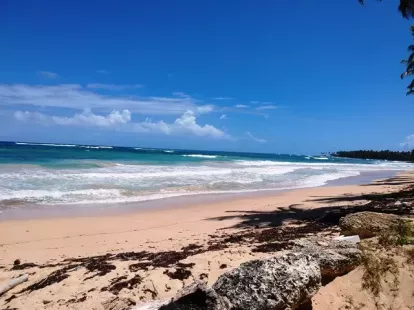 Участок в Кабрера, Доминиканская республика, 9 700м2 - стоимость 439&nbsp;000$ - Ref: 80302 фото 3