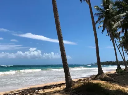 Участок в Кабрера, Доминиканская республика, 9 700м2 - стоимость 439&nbsp;000$ - Ref: 80302 фото 4