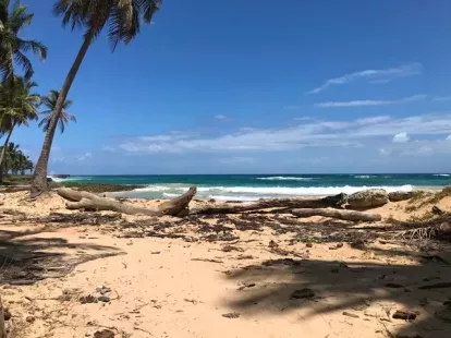 Участок в Кабрера, Доминиканская республика, 9 700м2 - стоимость 439&nbsp;000$ - Ref: 80302 фото 5