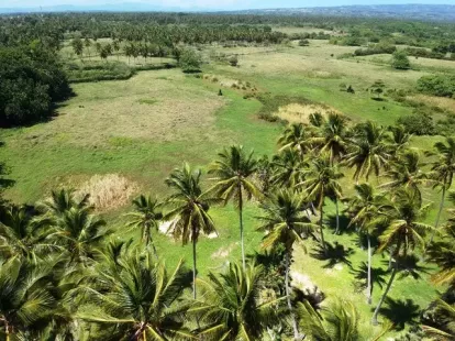 Участок в Кабрера, Доминиканская республика, 9 700м2 - стоимость 439&nbsp;000$ - Ref: 80302 фото 7