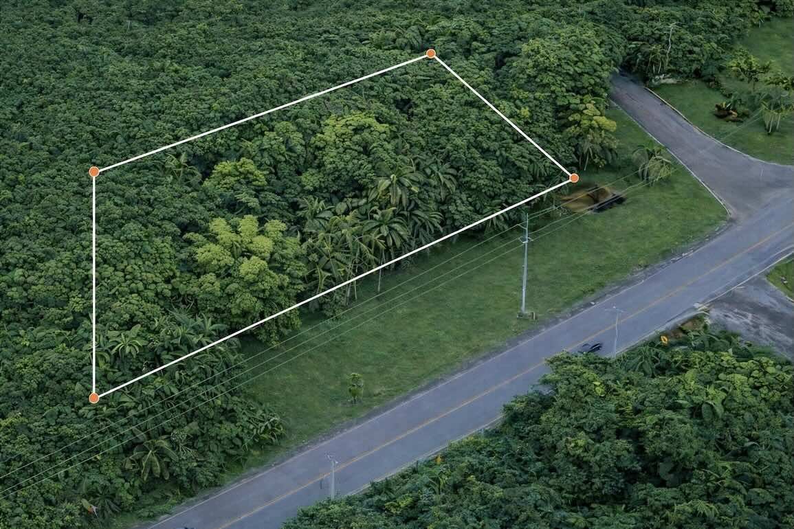 Участок в Кабарете, Доминиканская республика, 2 531м2 - стоимость 300&nbsp;000$ - Ref: 80358 фото 1