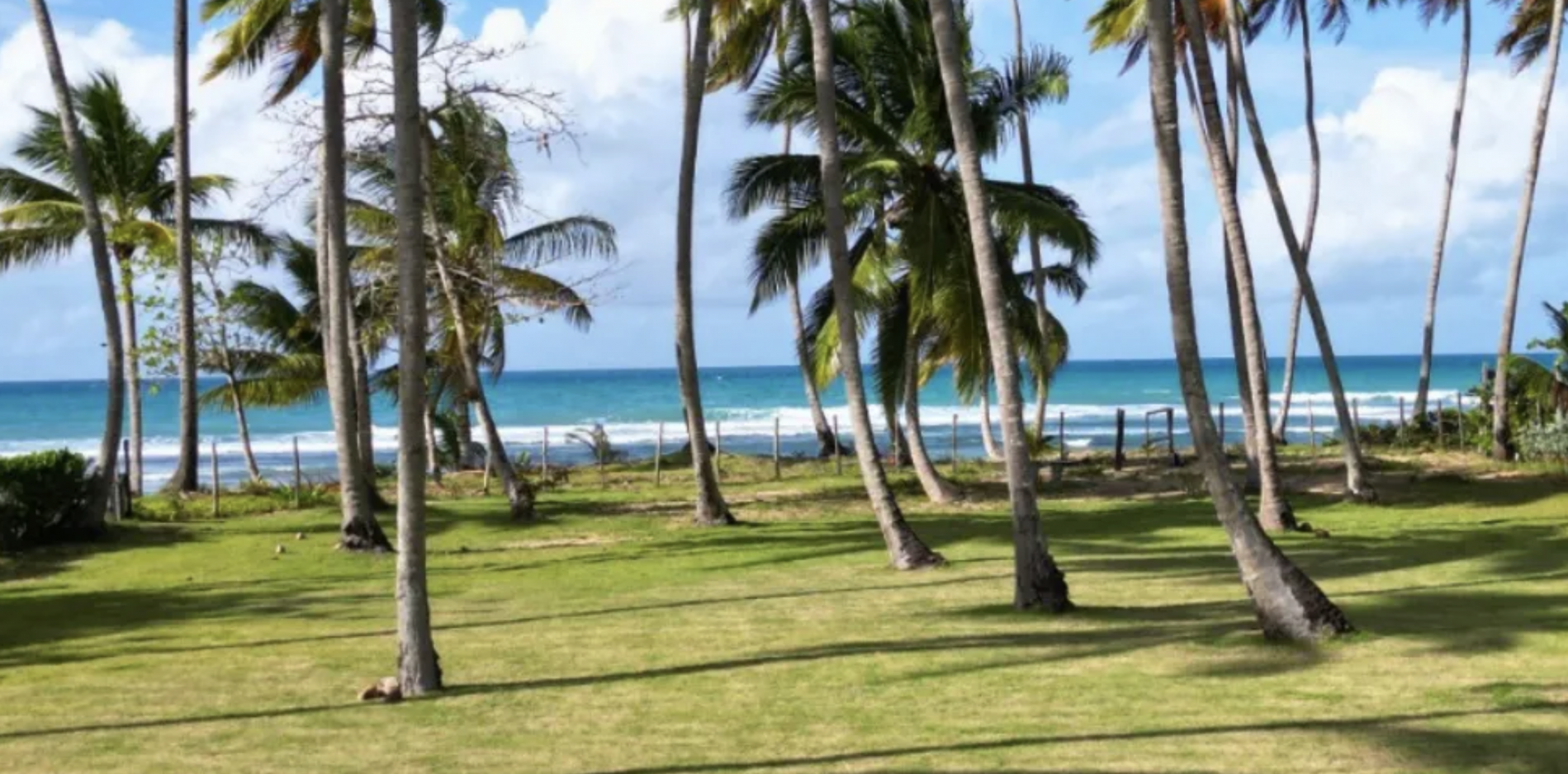 Участок в Лас Терренас, Доминиканская республика, 2 272м2 - стоимость 790&nbsp;000$ - Ref: 80378 фото 1