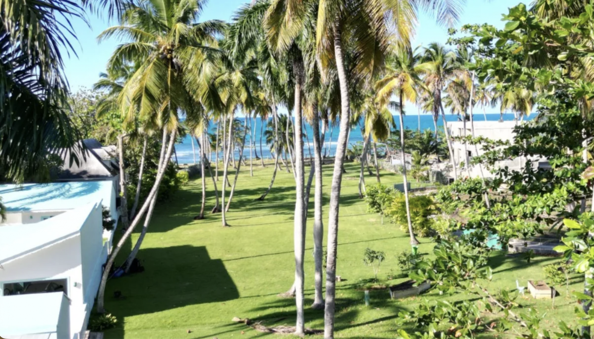 Участок в Лас Терренас, Доминиканская республика, 2 272м2 - стоимость 790&nbsp;000$ - Ref: 80378 фото 2