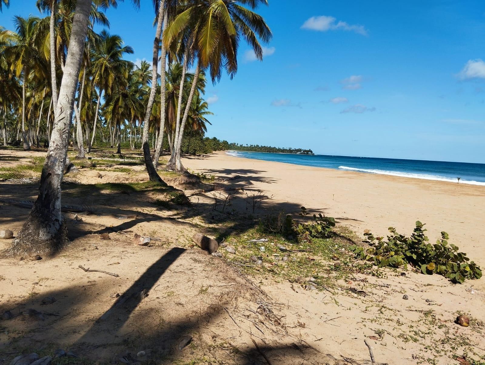 Участок в Самане, Доминиканская республика, 1 770 788м2 - стоимость 150&nbsp;516&nbsp;000$ - Ref: 80376 фото 2