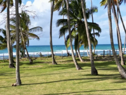 Участок в Лас Терренас, Доминиканская республика, 2 272м2 - стоимость 790&nbsp;000$ - Ref: 80378 фото 1