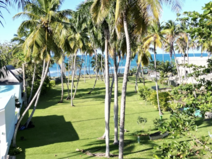 Участок в Лас Терренас, Доминиканская республика, 2 272м2 - стоимость 790&nbsp;000$ - Ref: 80378 фото 2