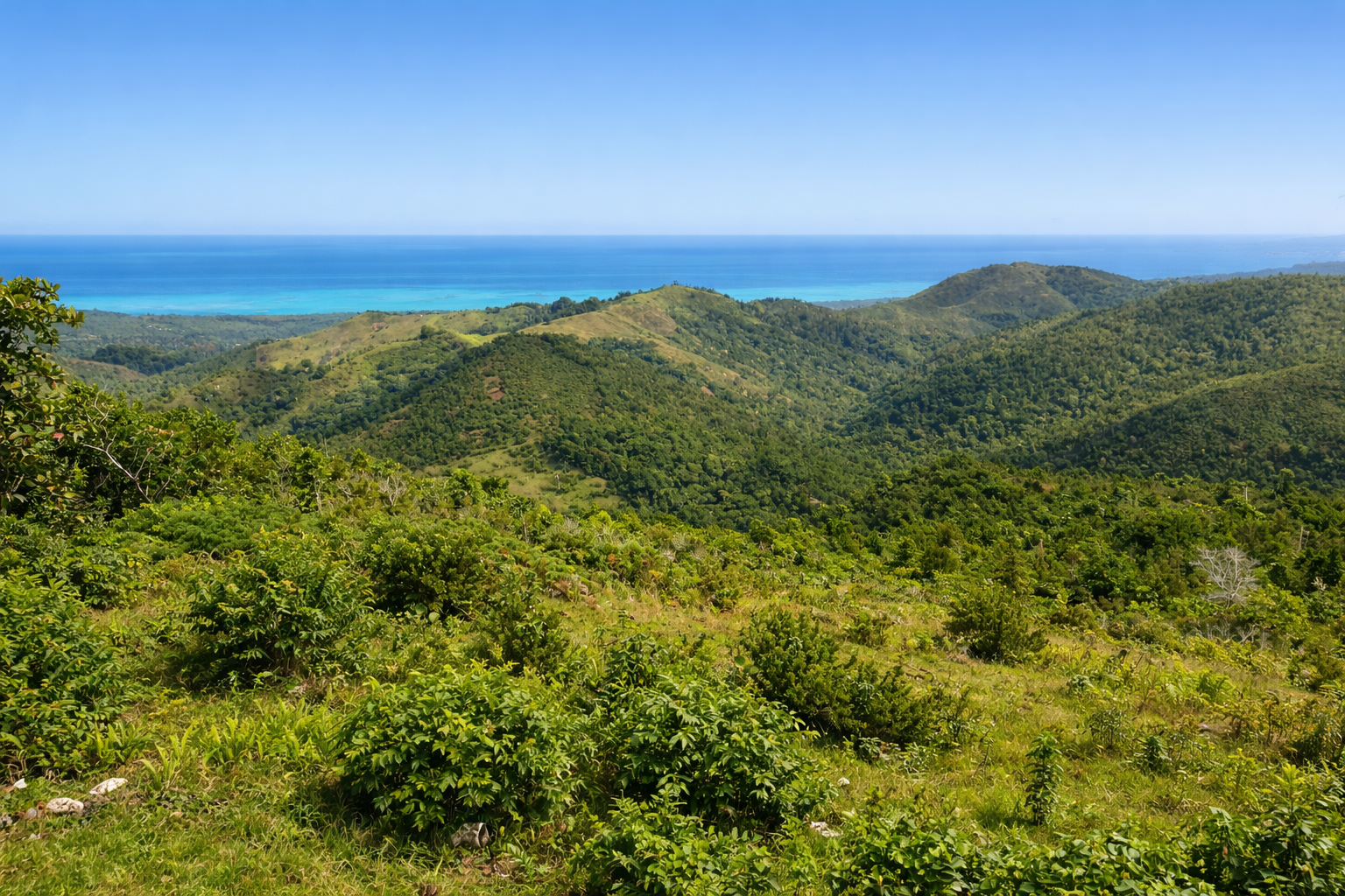 Участок в Кабрера, Доминиканская республика, 56 975м2 - стоимость 2&nbsp;625&nbsp;000$ - Ref: 80399 фото 2