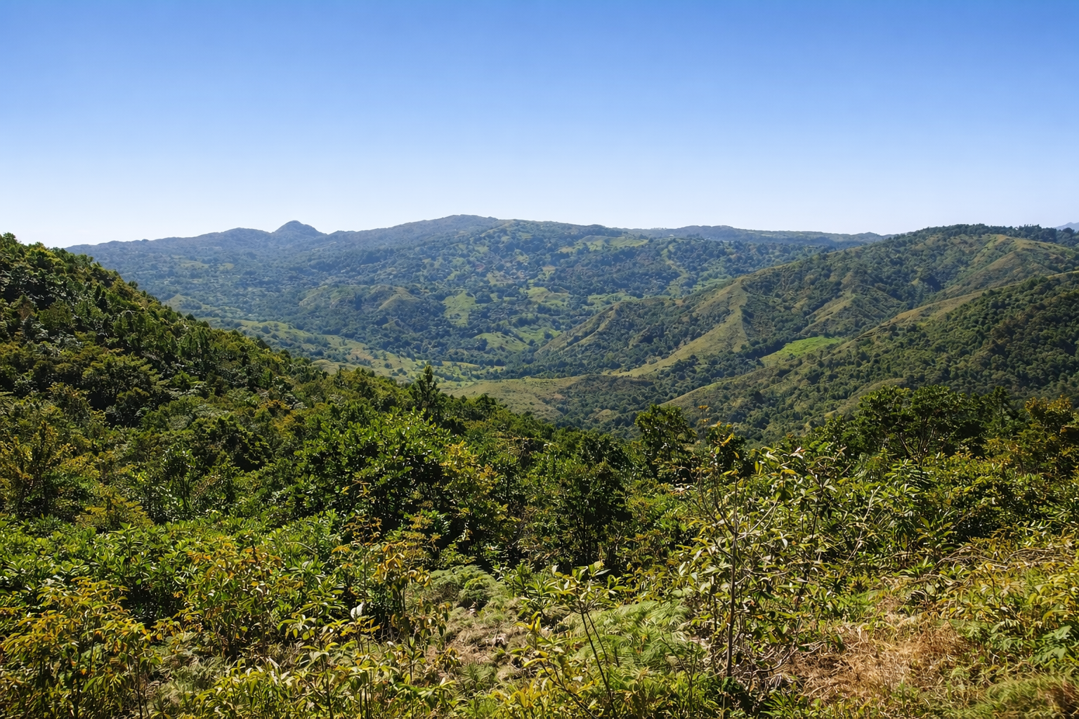 Участок в Кабрера, Доминиканская республика, 56 975м2 - стоимость 2&nbsp;625&nbsp;000$ - Ref: 80399 фото 3