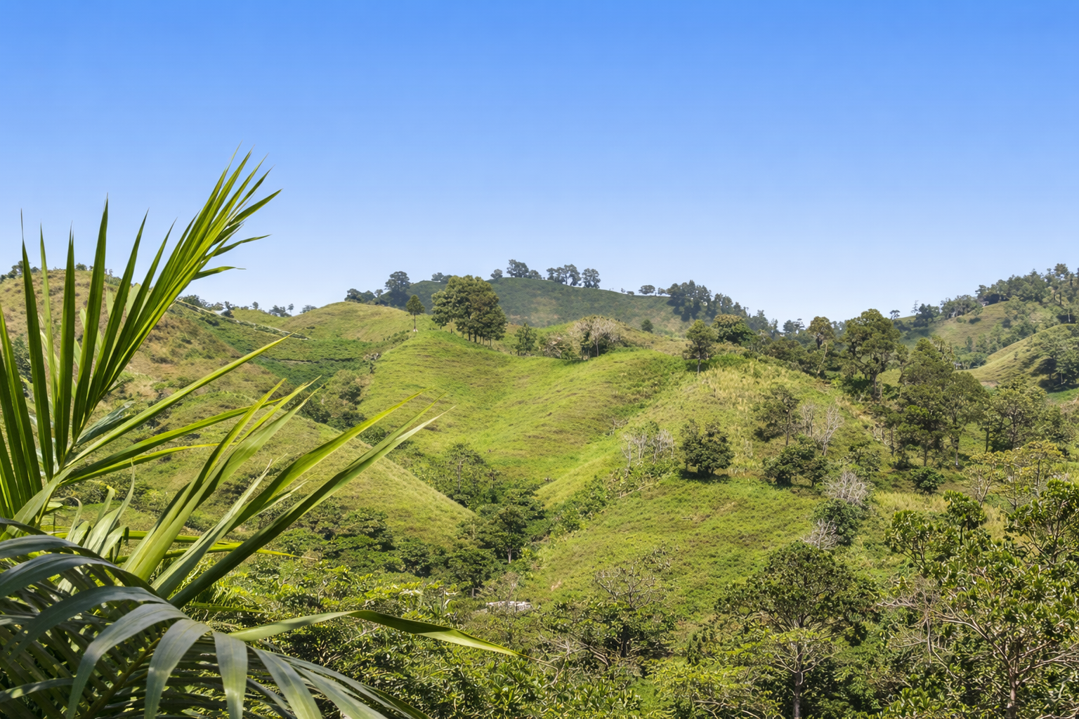 Участок в Харабакоа, Доминиканская республика - стоимость 1&nbsp;540&nbsp;000$ - Ref: 80410 фото 2