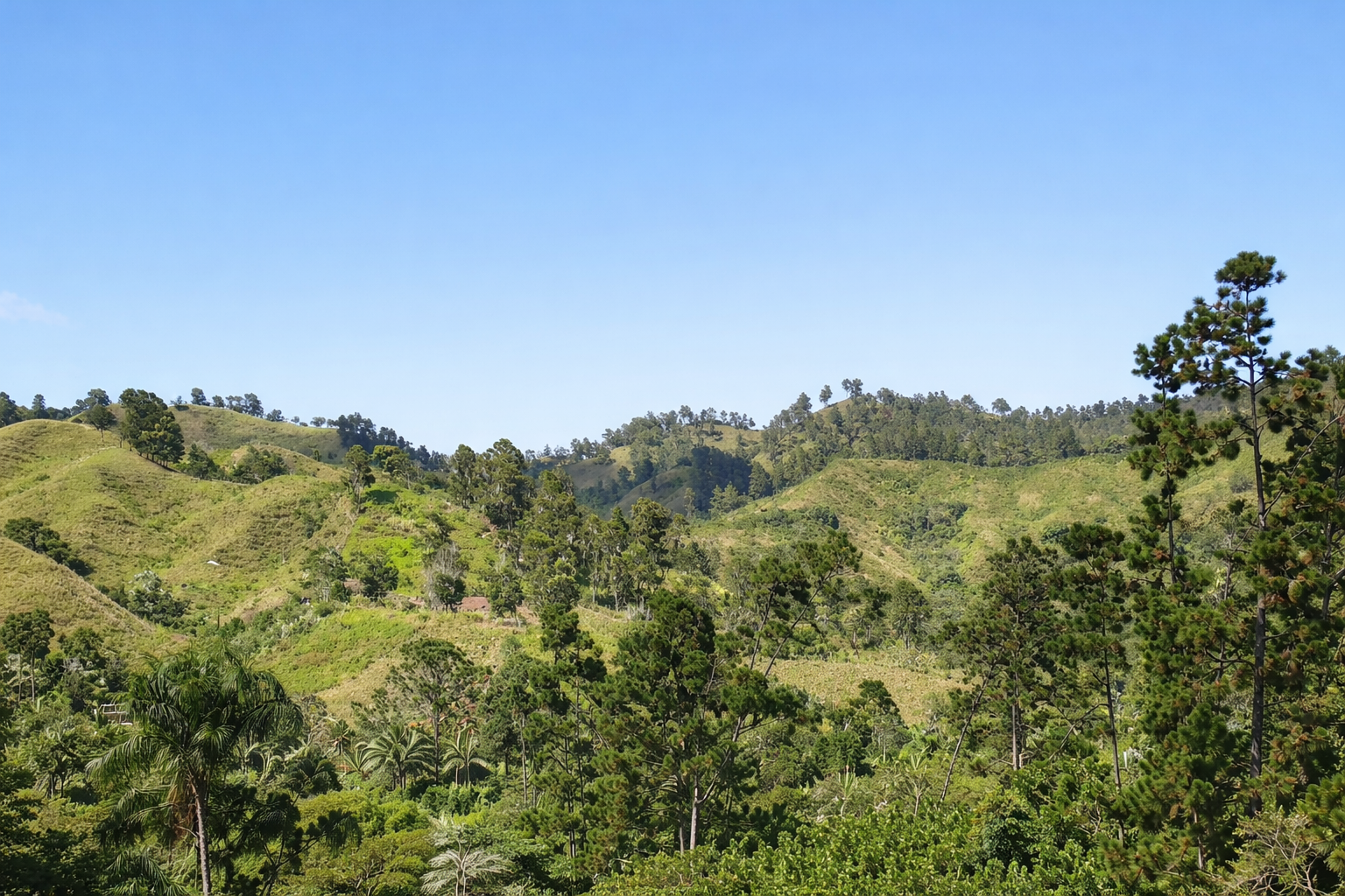 Участок в Харабакоа, Доминиканская республика - стоимость 1&nbsp;540&nbsp;000$ - Ref: 80410 фото 3