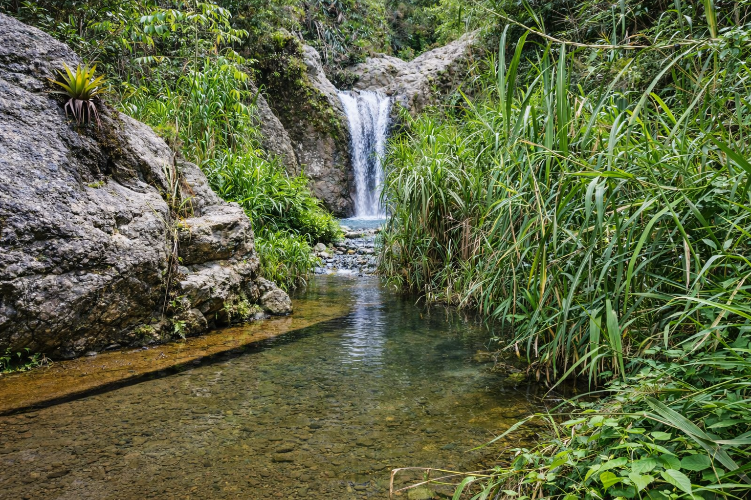 Участок в Харабакоа, Доминиканская республика - стоимость 1&nbsp;540&nbsp;000$ - Ref: 80410 фото 5