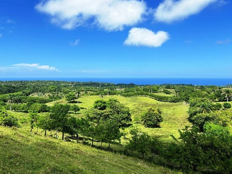 Участок в Кабарете, Доминиканская республика, 40 183м2 - стоимость 390&nbsp;000€ - Ref: 80409 фото 11