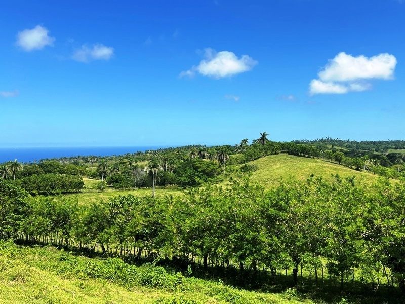 Участок в Кабарете, Доминиканская республика, 40 183м2 - стоимость 390&nbsp;000€ - Ref: 80409 фото 12