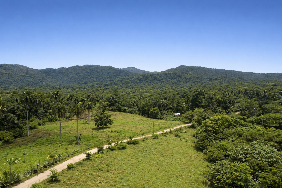 Участок в Кабарете, Доминиканская республика, 40 183м2 - стоимость 390&nbsp;000€ - Ref: 80409 фото 3