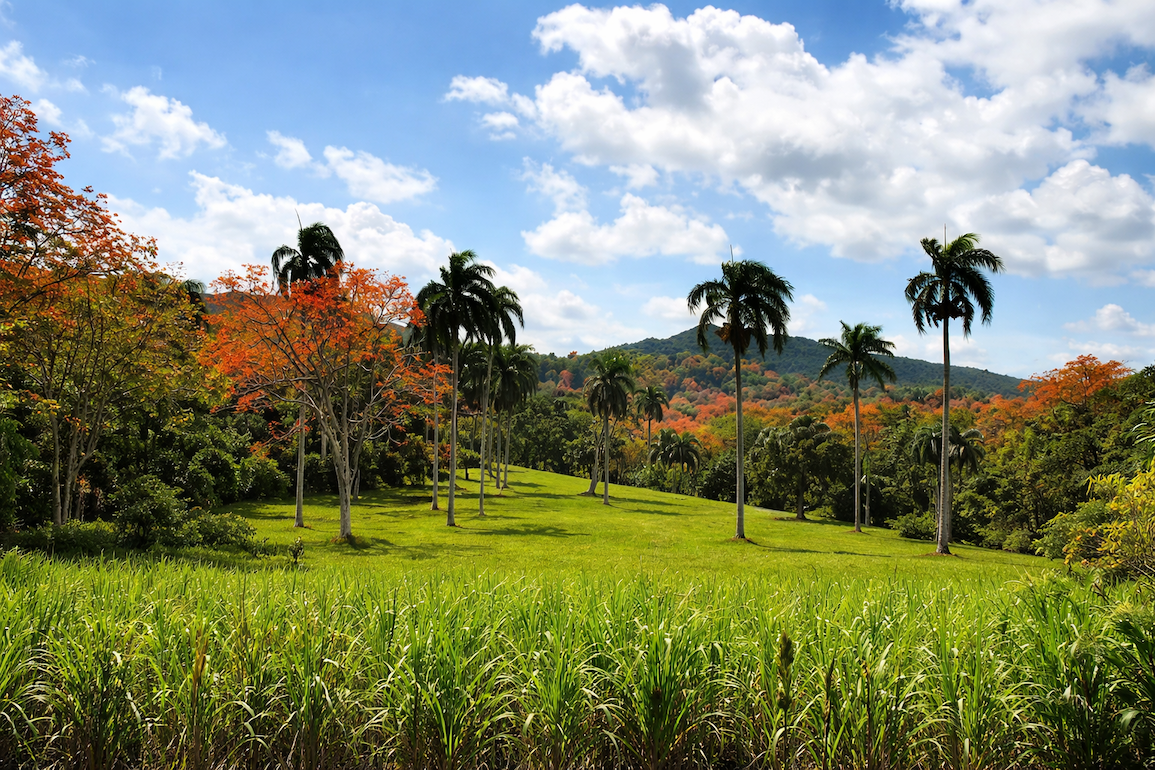 Участок в Кабарете, Доминиканская республика, 40 183м2 - стоимость 390&nbsp;000€ - Ref: 80409 фото 4