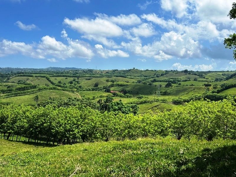 Участок в Кабарете, Доминиканская республика, 40 183м2 - стоимость 390&nbsp;000€ - Ref: 80409 фото 8