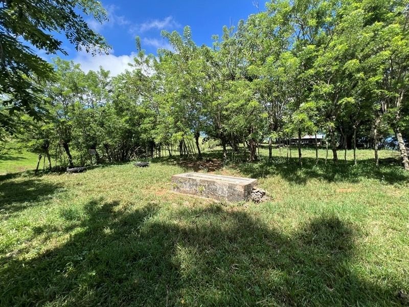 Участок в Кабрера, Доминиканская республика, 83 000м2 - стоимость 373&nbsp;600$ - Ref: 80408 фото 10