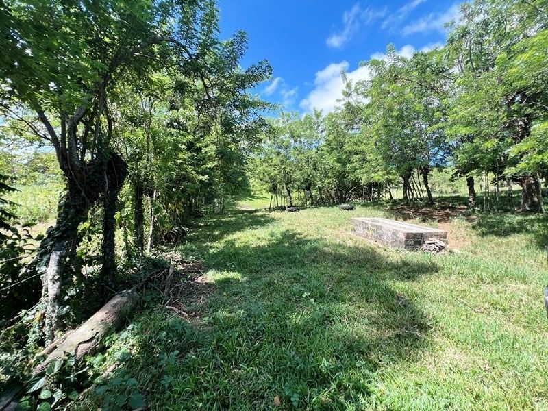 Участок в Кабрера, Доминиканская республика, 83 000м2 - стоимость 373&nbsp;600$ - Ref: 80408 фото 2