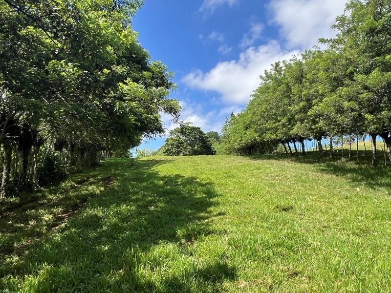 Участок в Кабрера, Доминиканская республика, 83 000м2 - стоимость 373&nbsp;600$ - Ref: 80408 фото 9