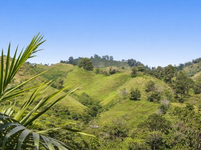 Участок в Харабакоа, Доминиканская республика - стоимость 1&nbsp;540&nbsp;000$ - Ref: 80410 фото 2