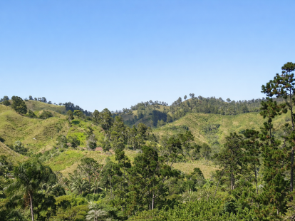 Участок в Харабакоа, Доминиканская республика - стоимость 1&nbsp;540&nbsp;000$ - Ref: 80410 фото 3