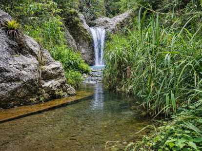 Участок в Харабакоа, Доминиканская республика - стоимость 1&nbsp;540&nbsp;000$ - Ref: 80410 фото 5