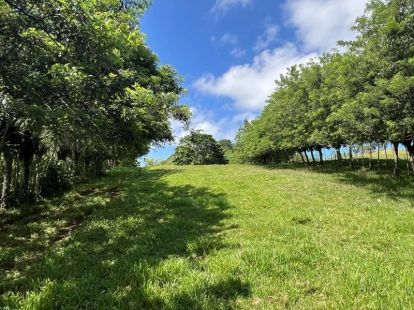 Участок в Кабарете, Доминиканская республика, 40 183м2 - стоимость 390&nbsp;000€ - Ref: 80409 фото 13