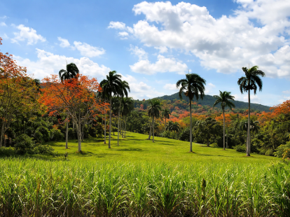 Участок в Кабарете, Доминиканская республика, 40 183м2 - стоимость 390&nbsp;000€ - Ref: 80409 фото 4