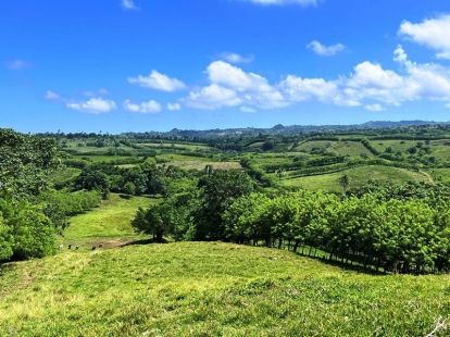 Участок в Кабарете, Доминиканская республика, 40 183м2 - стоимость 390&nbsp;000€ - Ref: 80409 фото 5