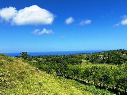 Участок в Кабарете, Доминиканская республика, 40 183м2 - стоимость 390&nbsp;000€ - Ref: 80409 фото 7