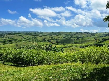 Участок в Кабрера, Доминиканская республика, 83 000м2 - стоимость 373&nbsp;600$ - Ref: 80408 фото 3