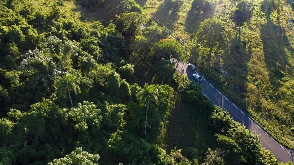 Участок в Кабрера, Доминиканская республика, 617м2 - стоимость 32&nbsp;000$ - Ref: 80418 фото 3