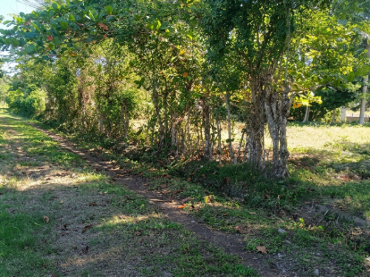 Участок в Кабарете, Доминиканская республика, 2 350м2 - стоимость 65&nbsp;000$ - Ref: 80431 фото 1