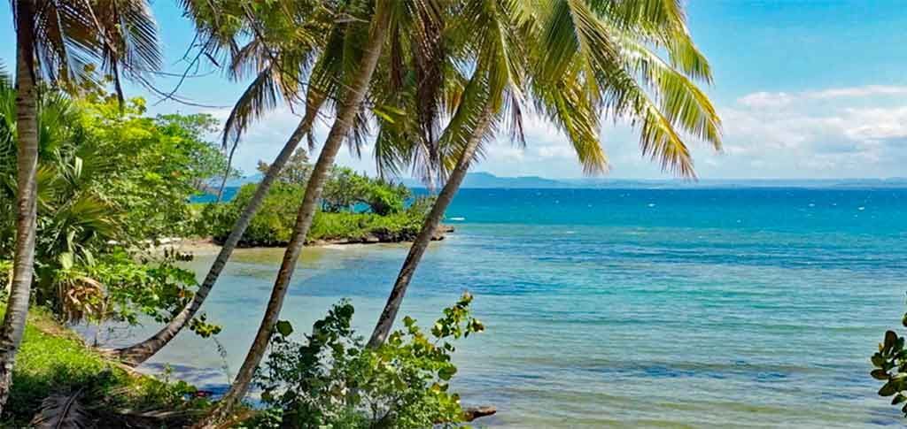 Участок в Самане, Доминиканская республика, 207 000м2 - стоимость 5&nbsp;910&nbsp;000$ - Ref: 80451 фото 1