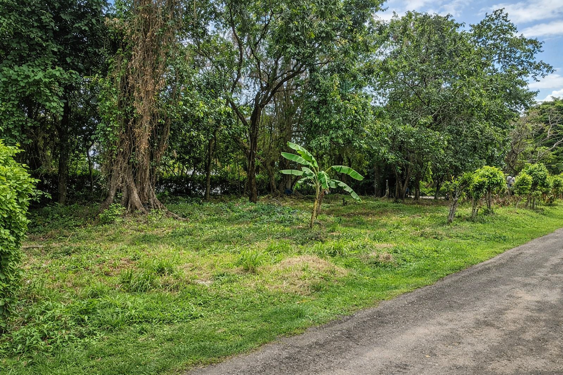 Участок в Кабарете, Доминиканская республика, 1 142м2 - стоимость 285&nbsp;655$ - Ref: 80449 фото 1