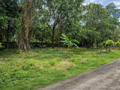 Участок в Кабарете, Доминиканская республика, 1 142м2 - стоимость 285&nbsp;655$ - Ref: 80449 фото 1