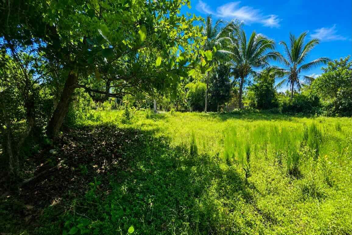 Участок в Кабарете, Доминиканская республика, 1 150м2 - стоимость 69&nbsp;000$ - Ref: 80480 фото 1